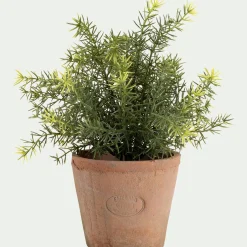 Plante Artificielle*alinea Asparagus artificiel H22,5cm - Vert