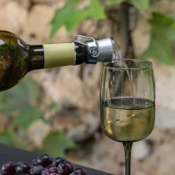 Accessoire Vin*alinea Bec verseur et bouchon en plastique - argenté