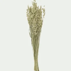 Loisirs Créatifs|Fleurs Séchées*alinea Botte d'avoine séchées 50cm - Blanc