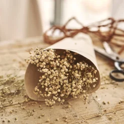 Fleurs Séchées|Loisirs Créatifs*alinea Botte de gypsophiles séchées 50cm - Blanc