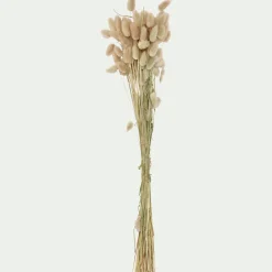 Loisirs Créatifs|Fleurs Séchées*alinea Botte de lagure ovale séchée 50cm - Beige