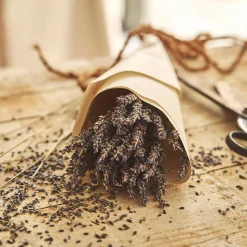 Loisirs Créatifs|Fleurs Séchées*alinea Botte de lavande séchée 35cm - Bleu