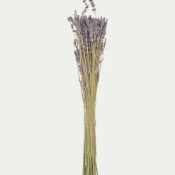 Loisirs Créatifs|Fleurs Séchées*alinea Botte de lavande séchée 35cm - Bleu