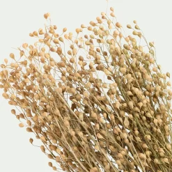 Fleurs Séchées*alinea Botte de Passerages séchées H55cm - Jaune