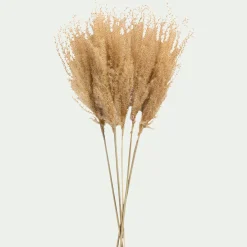 Fleurs Séchées*alinea Botte de roseau séchée H55cm - Beige