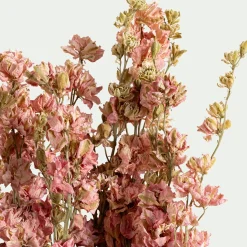 Loisirs Créatifs|Fleurs Séchées*alinea Bottes de dauphinelles séchées 55cm - Rose