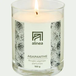 Bougie*alinea Bougie parfumée senteur Agapanthe 160g