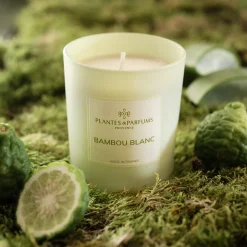 Bougie*alinea Bougie parfumée senteur Bambou Blanc 180g