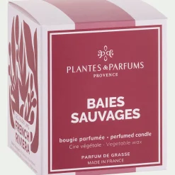Bougie*alinea Bougie parfumée senteur baies sauvages 180g