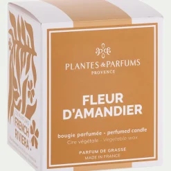 Bougie*alinea Bougie parfumée senteur fleur d'amandier 180g