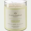 Bougie*alinea Bougie parfumée senteur Jardin d'Eden 180g