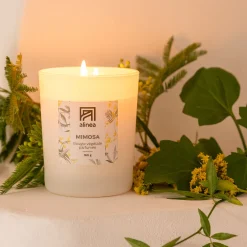 Bougie*alinea Bougie parfumée senteur mimosa 160g