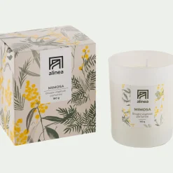 Bougie*alinea Bougie parfumée senteur mimosa 160g