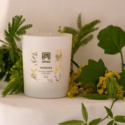 Bougie*alinea Bougie parfumée senteur mimosa 160g
