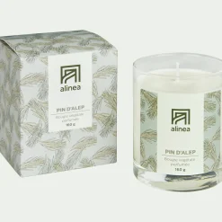 Bougie*alinea Bougie parfumée senteur Pin d'Alep 160g
