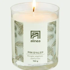 Bougie*alinea Bougie parfumée senteur Pin d'Alep 160g