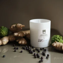 Bougie*alinea Bougie parfumée senteur pique nique Calanques 160g