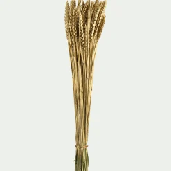 Fleurs Séchées|Décoration De La Table De Noël*alinea Bouquet de blé séché H55cm - Doré