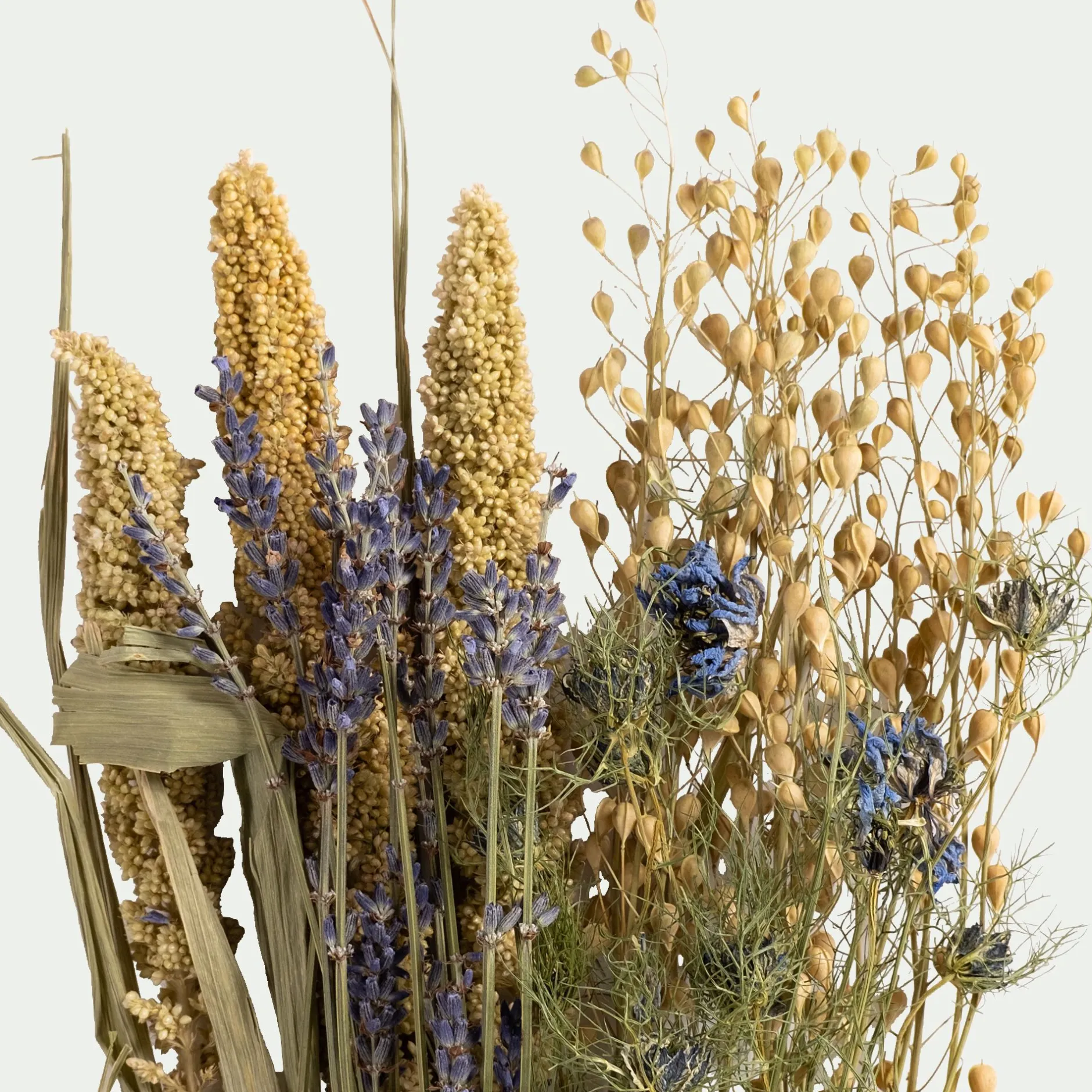 Fleurs Séchées*alinea Bouquet de fleurs séchés H35cm - Bleu
