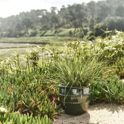 Pot De Fleur*alinea Cache-pot en terre cuite émaillée D28cm - Vert