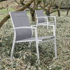 Chaise De Jardin*alinea Chaise de jardin avec accoudoirs en aluminium - gris