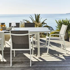 Chaise De Jardin*alinea Chaise de jardin avec accoudoirs en aluminium - gris