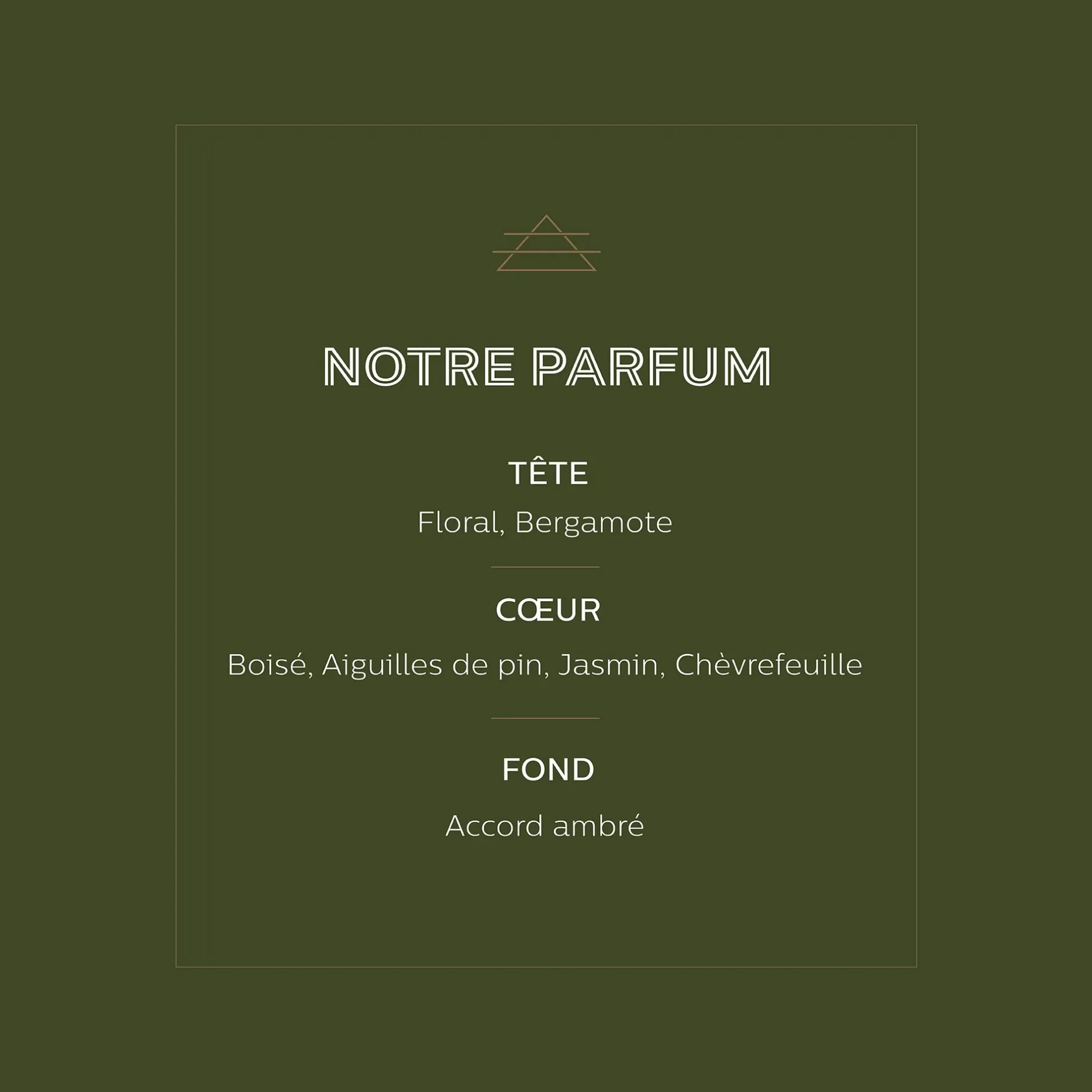 Parfum D'Ambiance*alinea Diffuseur de parfum senteur Notre Parfum 100ml