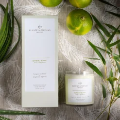 Parfum D'Ambiance*alinea Diffuseur de parfum senteur Bambou Blanc 100ml