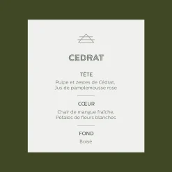 Parfum D'Ambiance*alinea Diffuseur de parfum senteur Cédrat 100ml