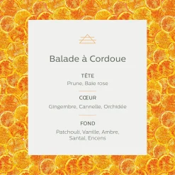 Parfum D'Ambiance*alinea Diffuseur de parfum senteur Balade à Cordoue 150ml