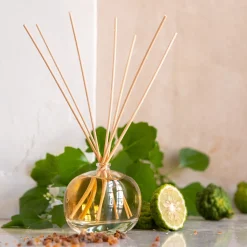 Parfum D'Ambiance*alinea Diffuseur de parfum senteur Ambre Intense 100ml