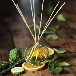 Parfum D'Ambiance*alinea Diffuseur de parfum senteur Bois d'Orient 100ml