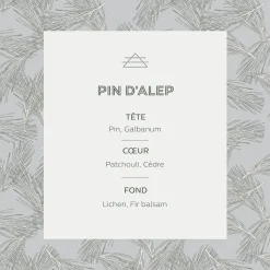 Parfum D'Ambiance*alinea Diffuseur de parfum senteur Pin d'Alep 100ml
