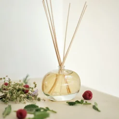 Parfum D'Ambiance*alinea Diffuseur de parfum senteur Fleur de Coton 100ml