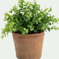 Plante Artificielle*alinea Eucalyptus artificiel en pot H45cm - Vert