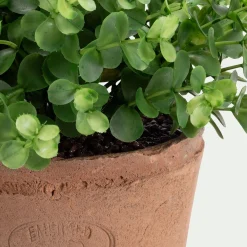 Plante Artificielle*alinea Eucalyptus artificiel en pot H45cm - Vert