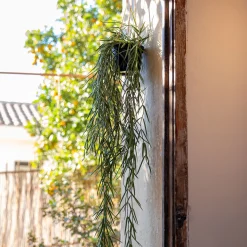 Plante Artificielle*alinea Hoya artificiel H80cm - Vert