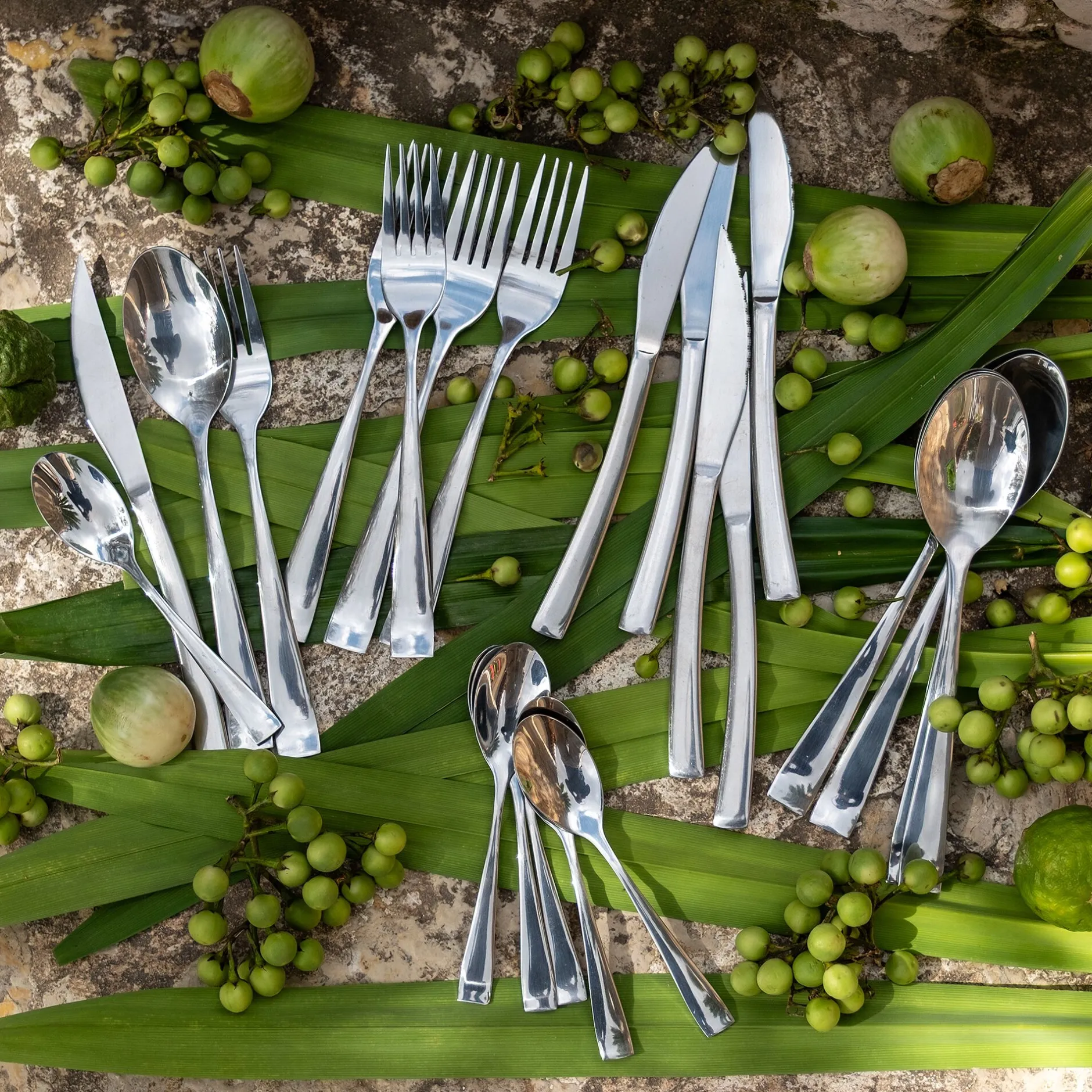 Ménagère Et Coffret Couverts*alinea Ménagère 24 pièces en inox finition brillante Argenté