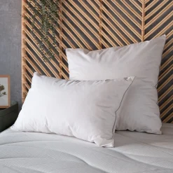 Oreiller & Traversin*alinea Oreiller moelleux en plumettes de canard - blanc 65x65cm