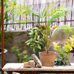 Plante Artificielle*alinea Palmier artificiel H75cm - Vert