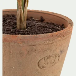 Plante Artificielle*alinea Palmier artificiel H75cm - Vert