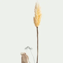 Vase Et Branchage De Noël*alinea Pampa LED électrique H70cm - beige (modèle aléatoire)