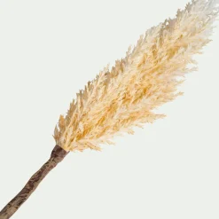 Vase Et Branchage De Noël*alinea Pampa LED électrique H70cm - beige (modèle aléatoire)