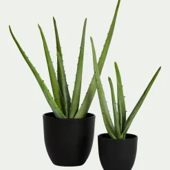 Plante Artificielle*alinea Plante artificielle aloe - H52cm Vert