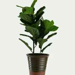 Pot De Fleur*alinea Pot bicolore en terre cuite D29cm - Vert