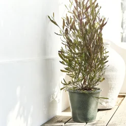 Pot De Fleur*alinea Pot en terre cuite D30cm - Vert