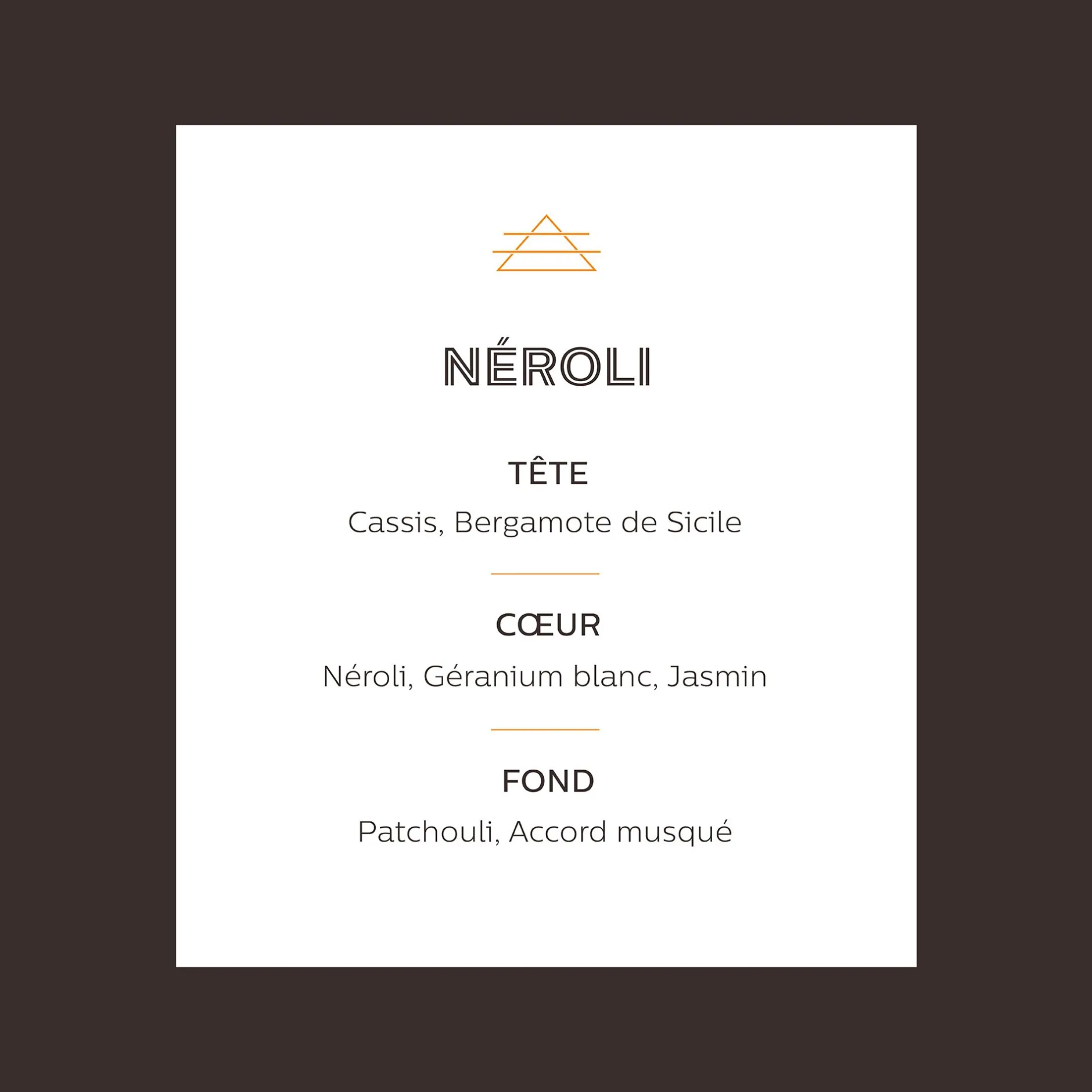 Parfum D'Ambiance*alinea Recharge de parfum 250 ml pour bouquet et diffuseur céramique Marron