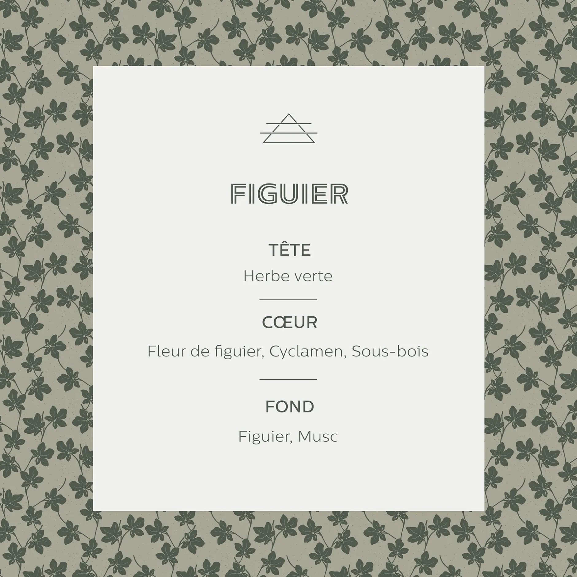 Parfum D'Ambiance*alinea Recharge pour diffuseur Figuier 200ml