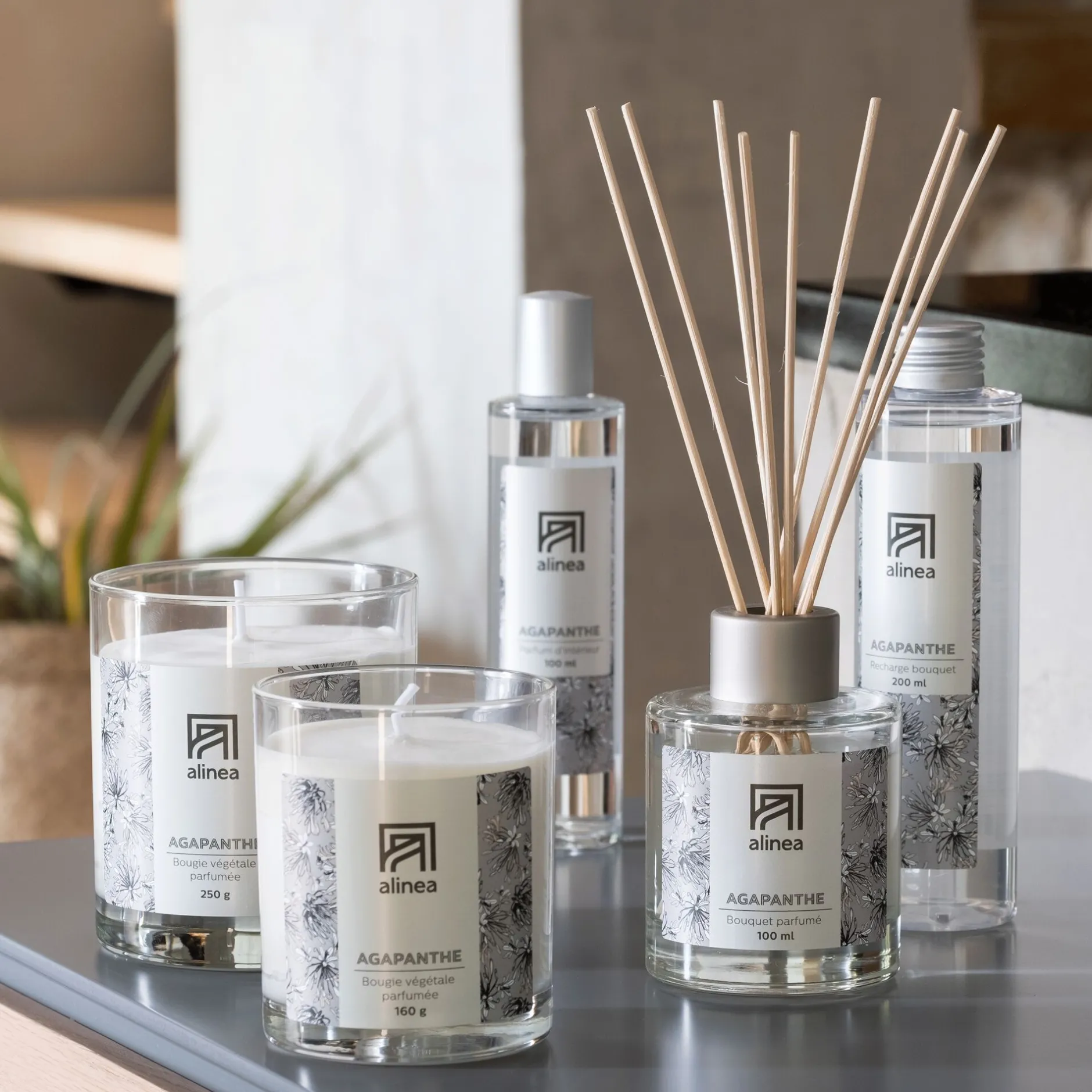 Parfum D'Ambiance*alinea Vaporisateur senteur Agapanthe 100ml